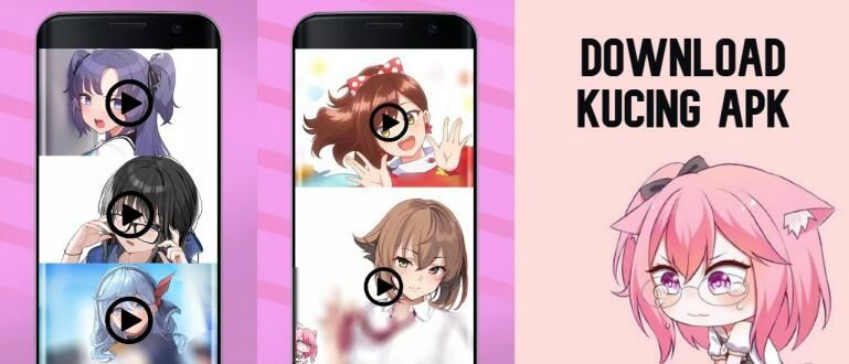 Kucing APK Android app screenshot